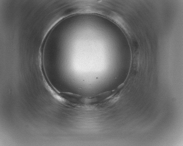 X0000071381476200607071829