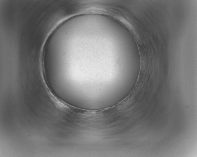 X0000071381478200607071829