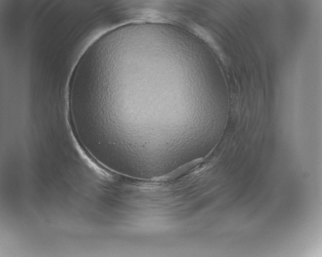 X0000071381479200607071829