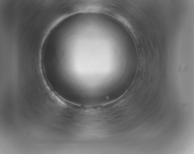 X0000071381480200607071829