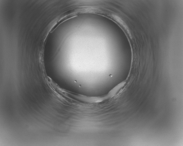 X0000071381481200607071829