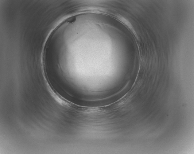 X0000071381482200607071829