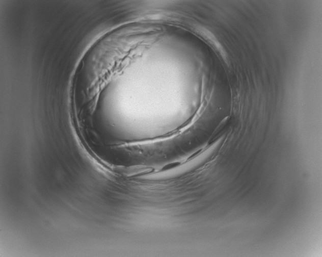 X0000071381483200607071829