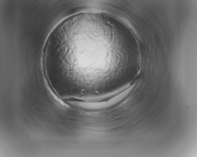 X0000071381484200607071829