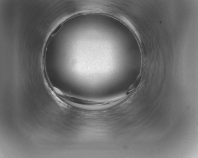 X0000071381485200607071829