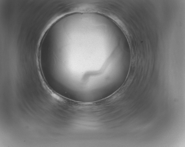 X0000071381486200607071829