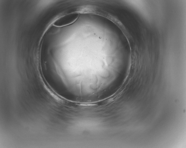 X0000071381487200607071829