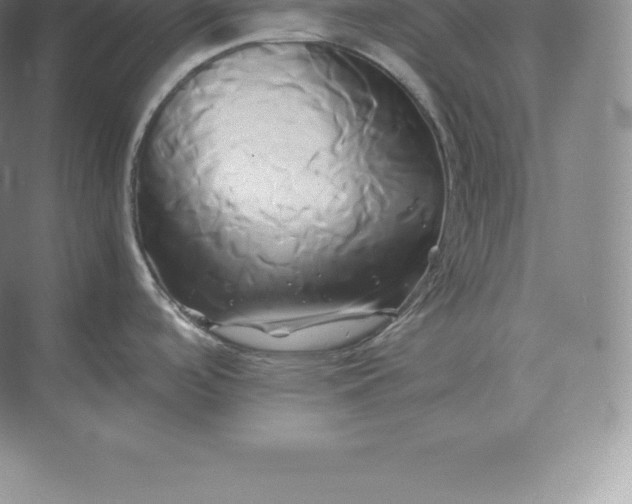 X0000071381488200607071828