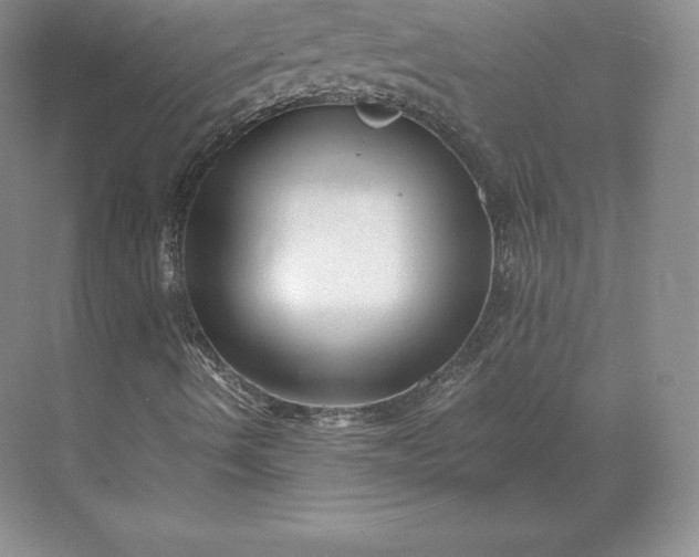 X0000071381490200607071828