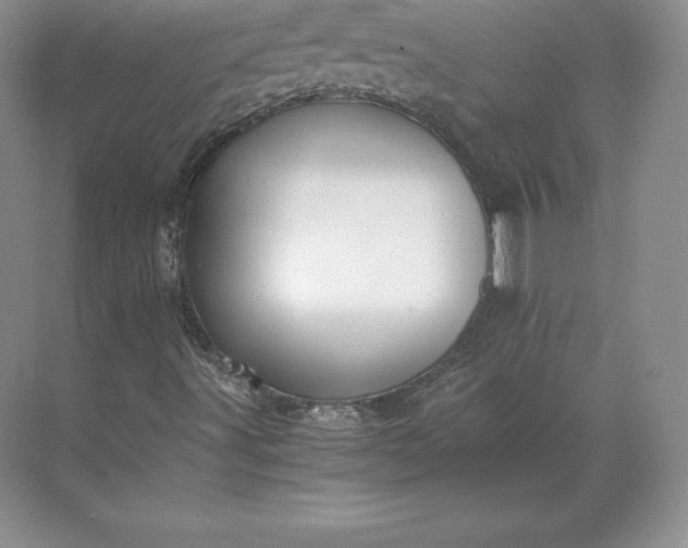 X0000071381491200607071828