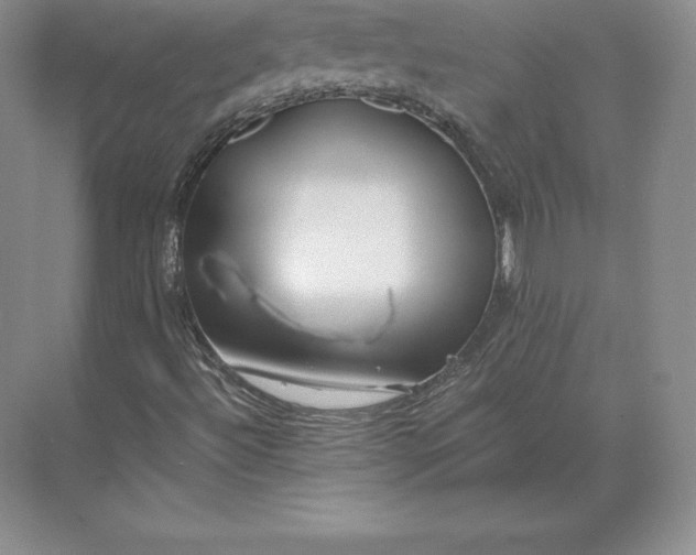 X0000071381492200607071828