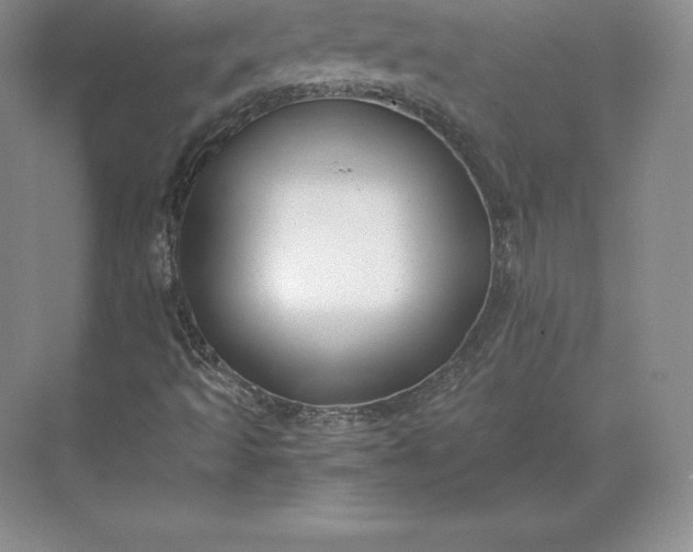 X0000071381493200607071828