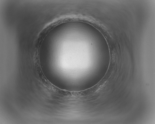 X0000071381494200607071828