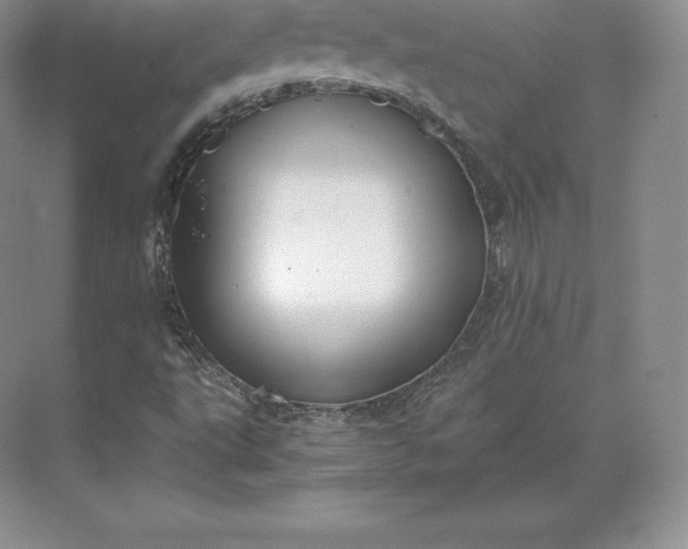 X0000071381495200607071828