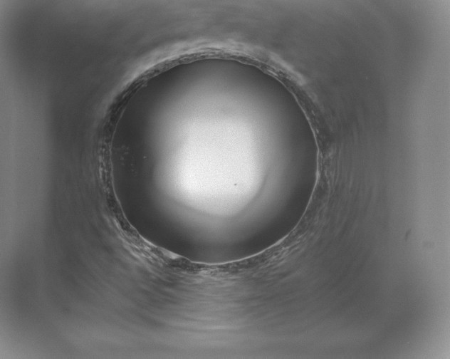 X0000071381496200607071828