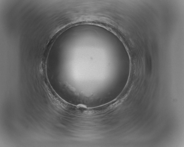 X0000071381497200607071828