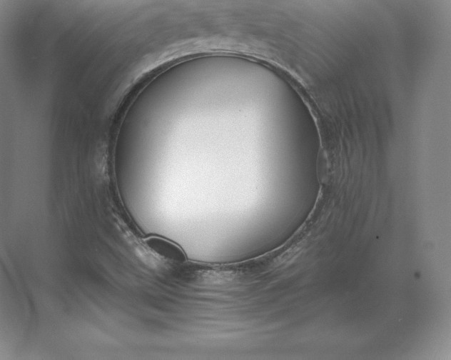 X0000071381499200607071828