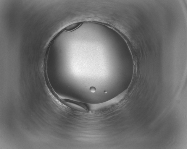 X0000071381500200607071828