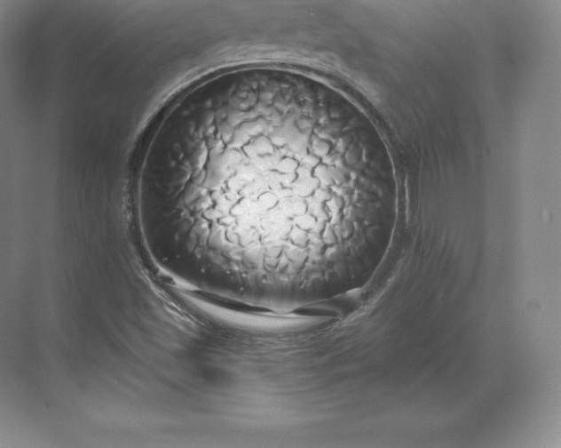 X0000071381501200607071828