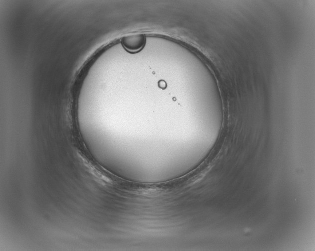 X0000071381502200607071828