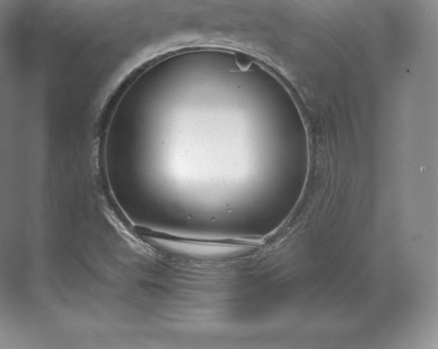 X0000071381503200607071828