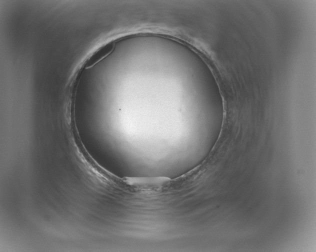 X0000071381504200607071828