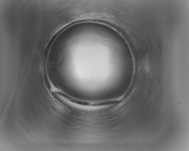 X0000071381505200607071828