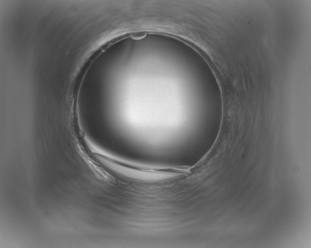 X0000071381507200607071828