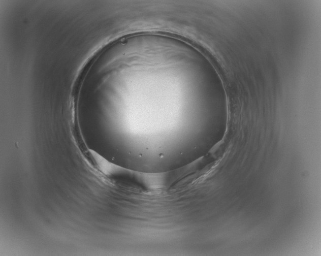 X0000071381509200607071828