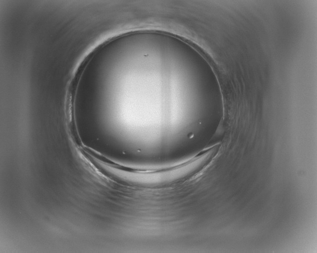 X0000071381510200607071828