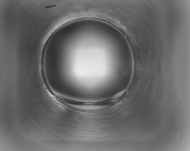 X0000071381512200607071828