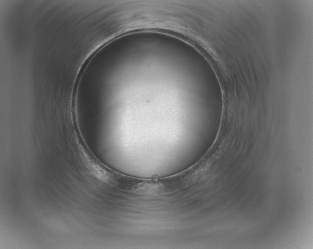 X0000071381513200607071828