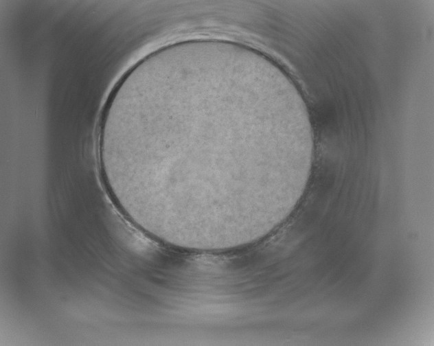 X0000071381514200607071828