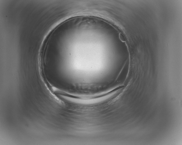 X0000071381517200607071828