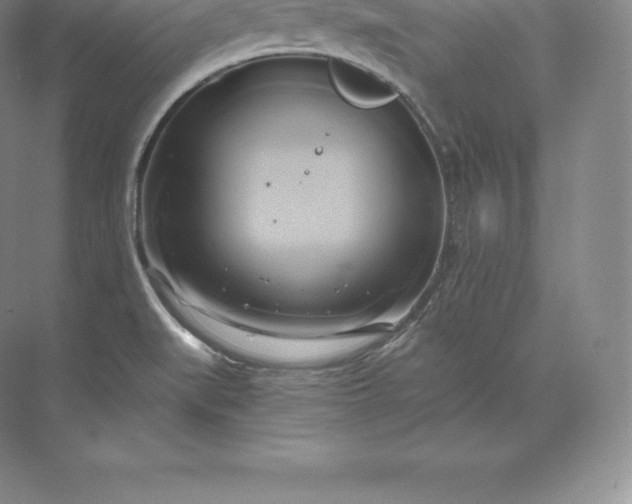 X0000071381519200607071828