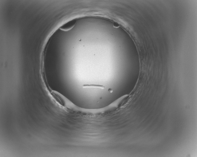 X0000071381520200607071828