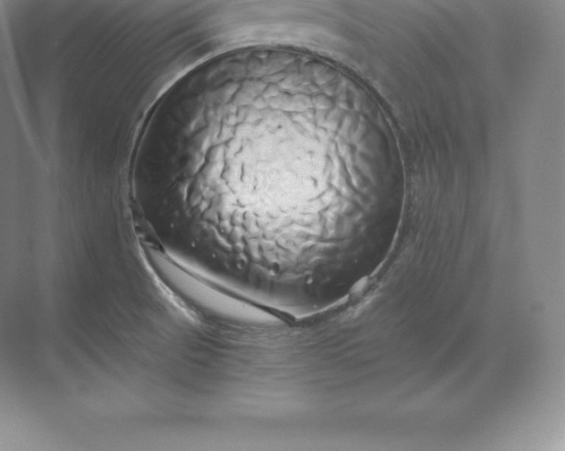 X0000071381521200607071828