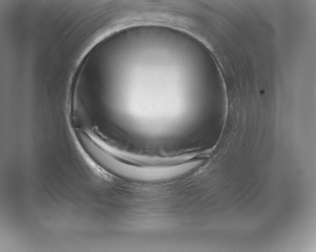 X0000071381523200607071828