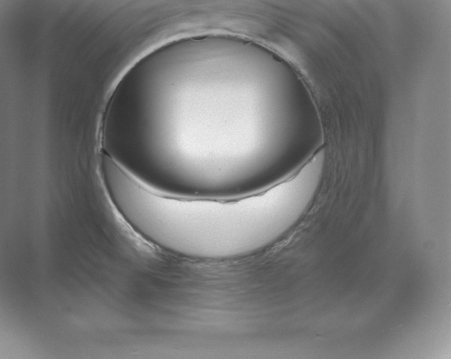 X0000071381524200607071828