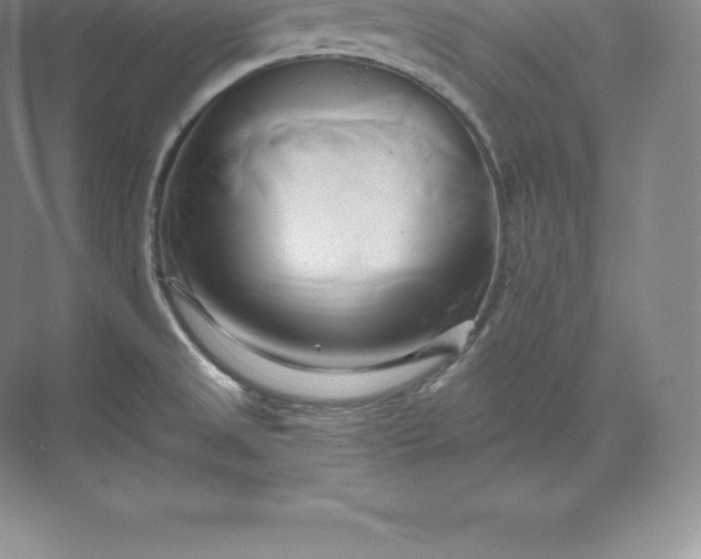 X0000071381525200607071828