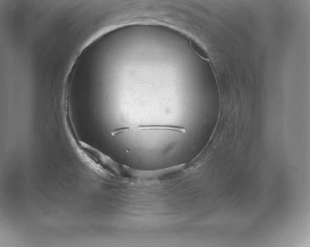 X0000071381526200607071828