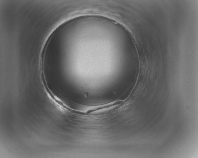 X0000071381527200607071828