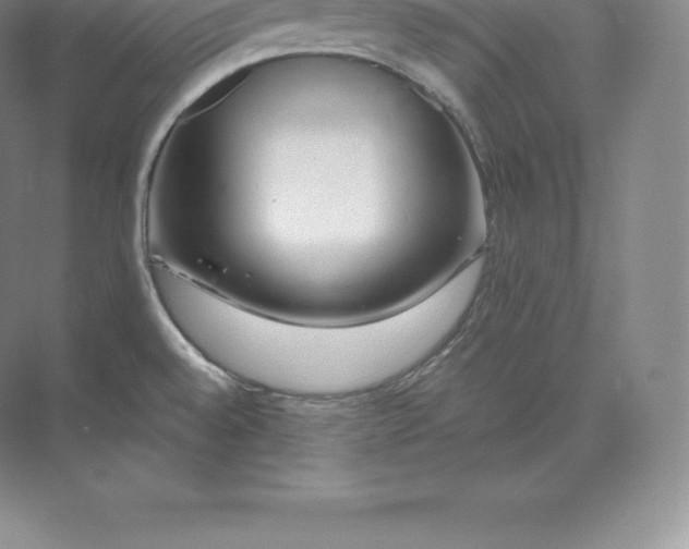 X0000071381528200607071828