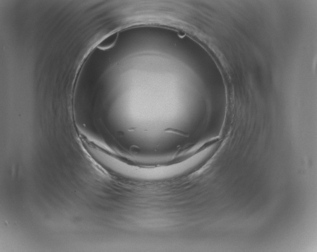 X0000071381529200607071828