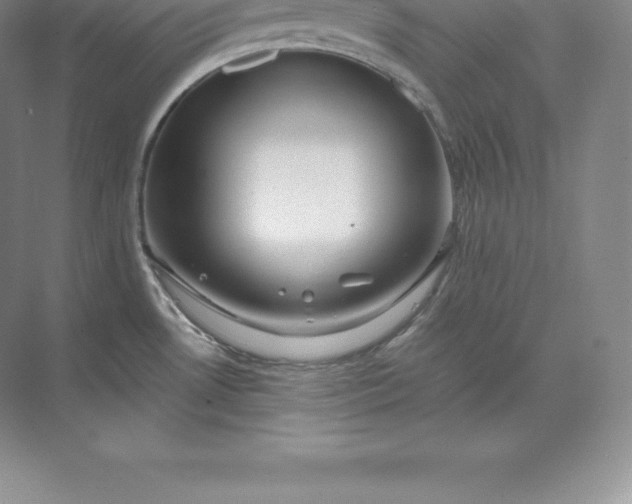 X0000071381530200607071828