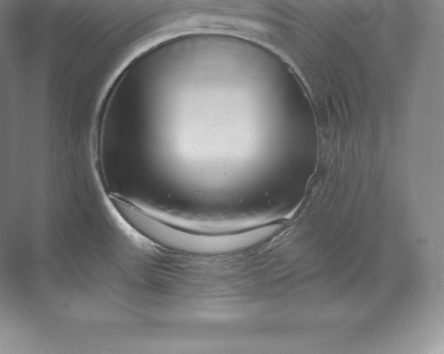 X0000071381531200607071828