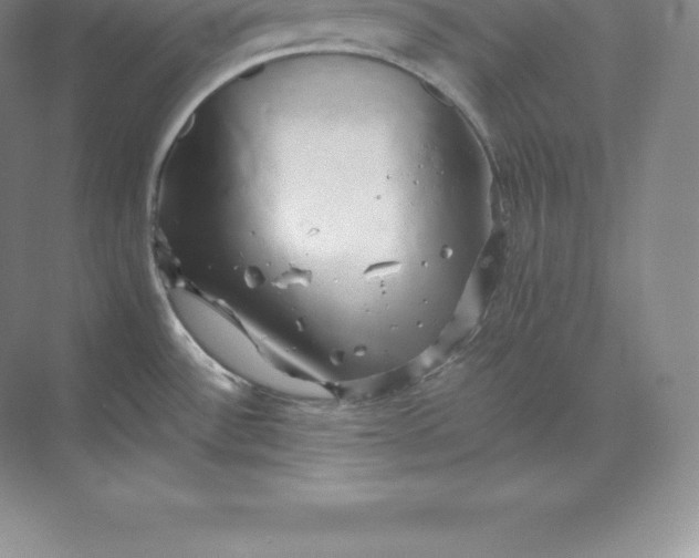 X0000071381532200607071828