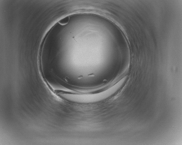 X0000071381533200607071828