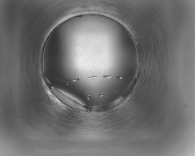 X0000071381534200607071828