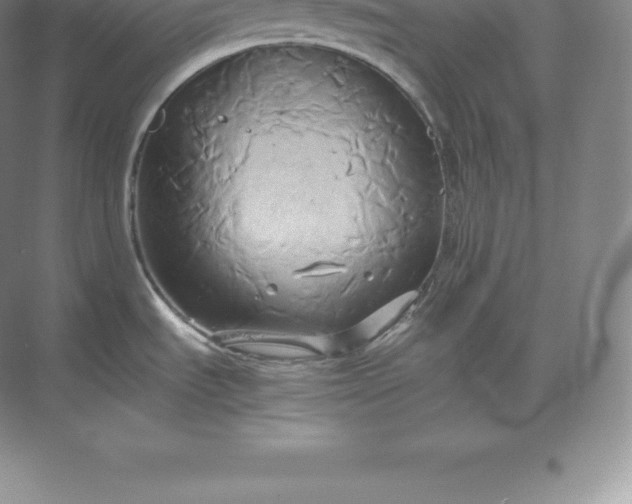 X0000071381535200607071828